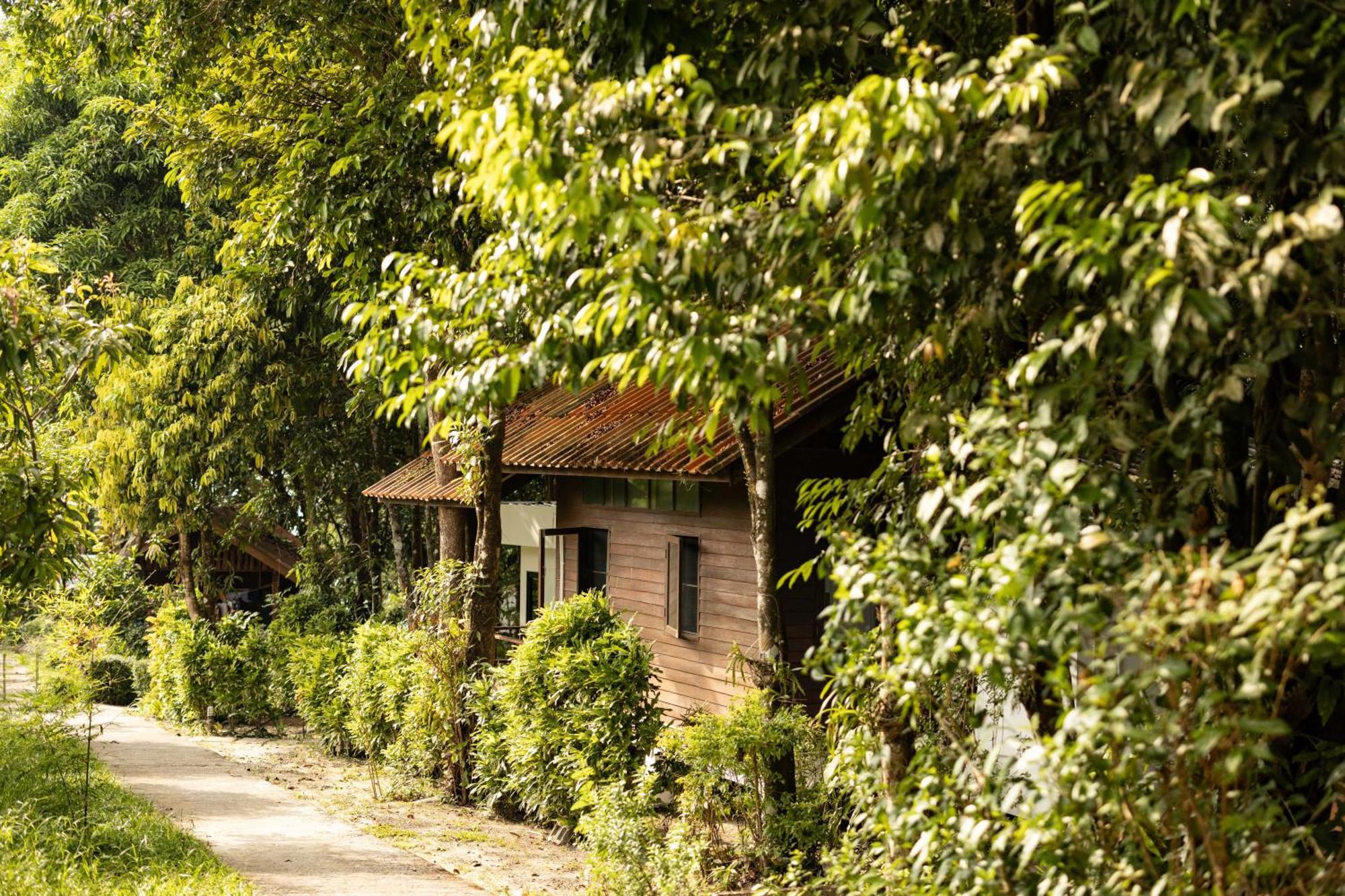 Barefoot Project Formerly Baan Klong Kleng Hotel Koh Phayam Exterior foto